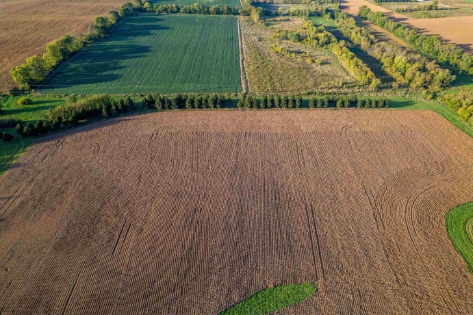 00 Telegraph, WINNEBAGO, Illinois 61088, ,Land,For Sale,Telegraph,202600501