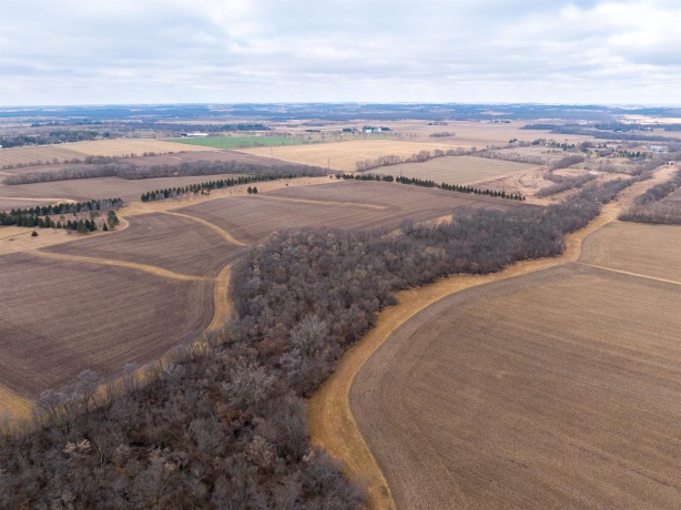 00 Telegraph, WINNEBAGO, Illinois 61088, ,Land,For Sale,Telegraph,202600501