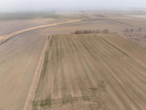 00 Lomax, PROPHETSTOWN, Illinois 61277, ,Land,For Sale,Lomax,202600505