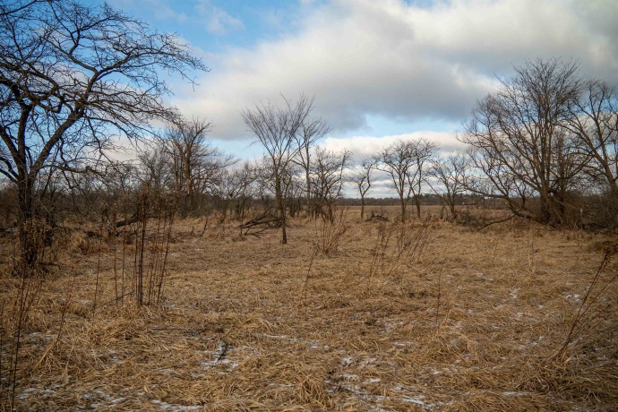 00 Kishwauke, STILLMAN VALLEY, Illinois 61084, ,Land,For Sale,Kishwauke,202600515