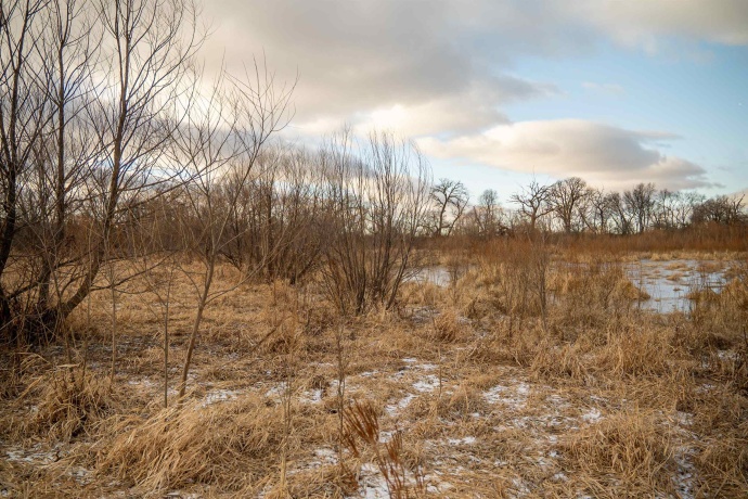 00 Kishwauke, STILLMAN VALLEY, Illinois 61084, ,Land,For Sale,Kishwauke,202600515
