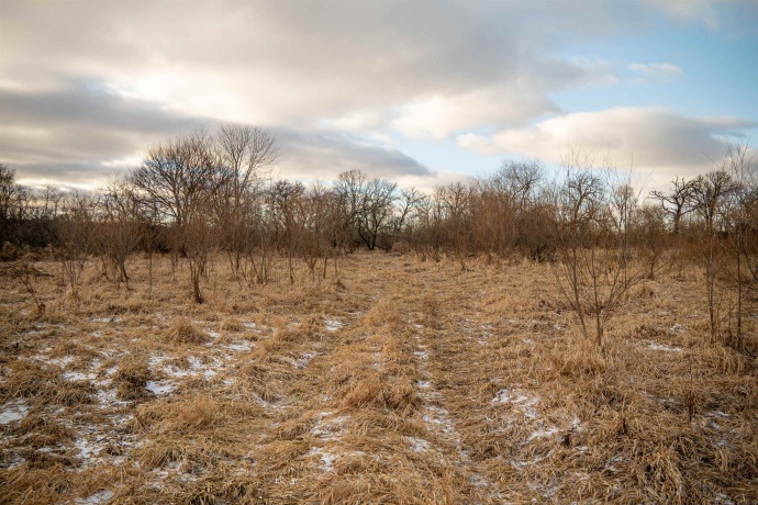 00 Kishwauke, STILLMAN VALLEY, Illinois 61084, ,Land,For Sale,Kishwauke,202600515