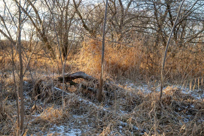 00 Kishwauke, STILLMAN VALLEY, Illinois 61084, ,Land,For Sale,Kishwauke,202600515