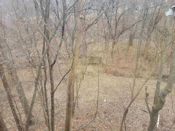 408 4th, SPRING VALLEY, Illinois 61362, 2 Bedrooms Bedrooms, ,1 BathroomBathrooms,House,For Sale,4th,202600520