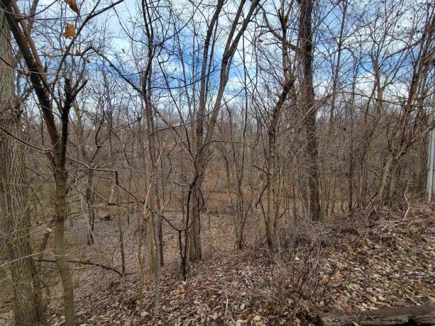 408 4th, SPRING VALLEY, Illinois 61362, 2 Bedrooms Bedrooms, ,1 BathroomBathrooms,House,For Sale,4th,202600520