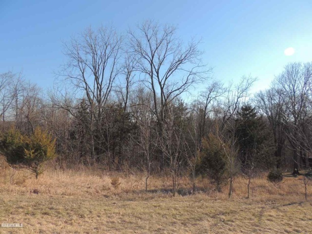 9 Cedar Rim, GALENA, Illinois 61036, ,Land,For Sale,Cedar Rim,202200219