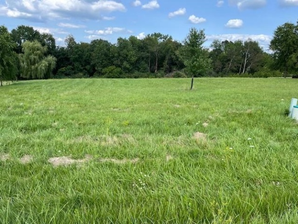 17-200R Lake Carroll, LAKE CARROLL, Illinois 61046, ,Land,For Sale,Lake Carroll,202600523