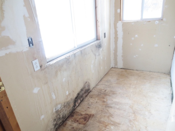 311 4th, OREGON, Illinois 61061, 4 Bedrooms Bedrooms, ,1 BathroomBathrooms,House,For Sale,4th,202507549