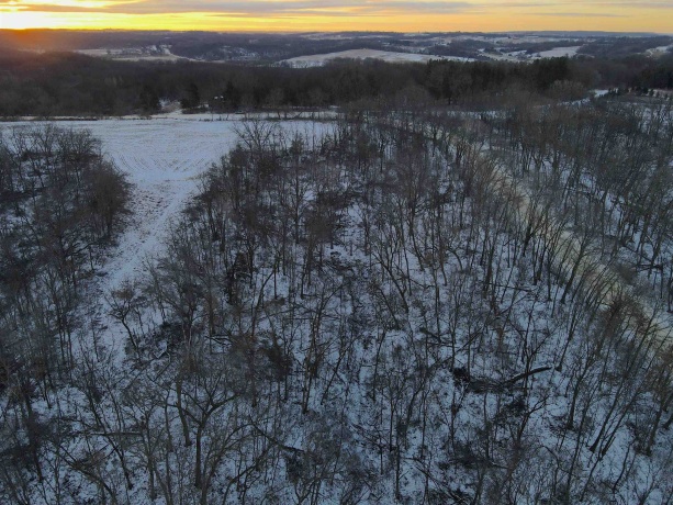 000 Messmer Road, SAVANNA, Illinois 61074, ,Land,For Sale,Messmer Road,202600579