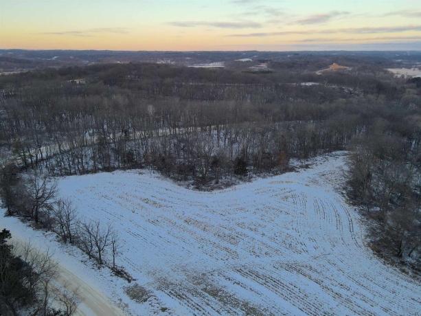 000 Messmer Road, SAVANNA, Illinois 61074, ,Land,For Sale,Messmer Road,202600579