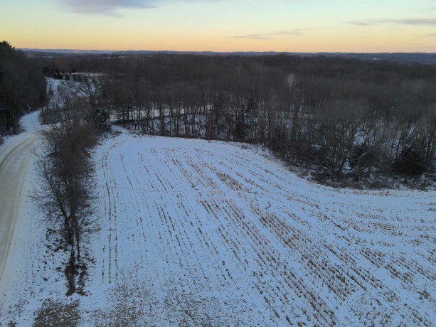 000 Messmer Road, SAVANNA, Illinois 61074, ,Land,For Sale,Messmer Road,202600579