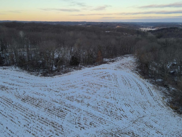 000 Messmer Road, SAVANNA, Illinois 61074, ,Land,For Sale,Messmer Road,202600579