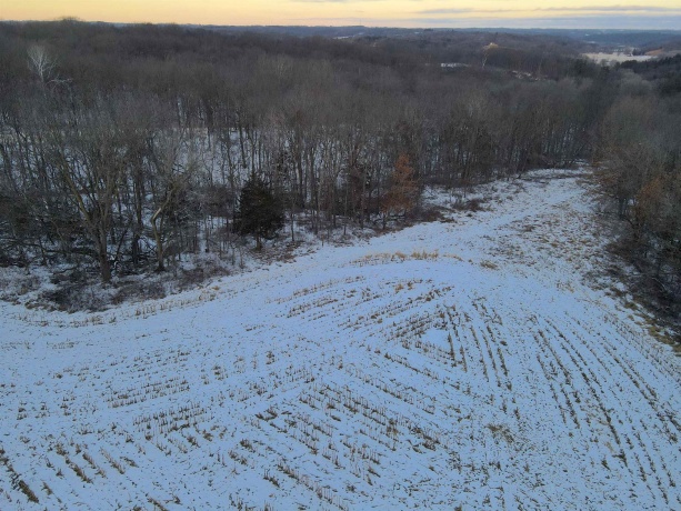 000 Messmer Road, SAVANNA, Illinois 61074, ,Land,For Sale,Messmer Road,202600579