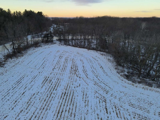 000 Messmer Road, SAVANNA, Illinois 61074, ,Land,For Sale,Messmer Road,202600579