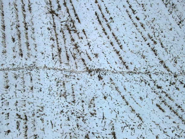 000 Messmer Road, SAVANNA, Illinois 61074, ,Land,For Sale,Messmer Road,202600579