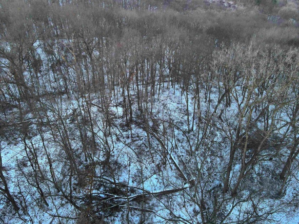 000 Messmer Road, SAVANNA, Illinois 61074, ,Land,For Sale,Messmer Road,202600579