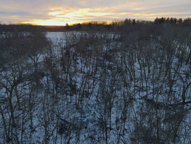 000 Messmer Road, SAVANNA, Illinois 61074, ,Land,For Sale,Messmer Road,202600579