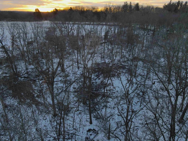 000 Messmer Road, SAVANNA, Illinois 61074, ,Land,For Sale,Messmer Road,202600579