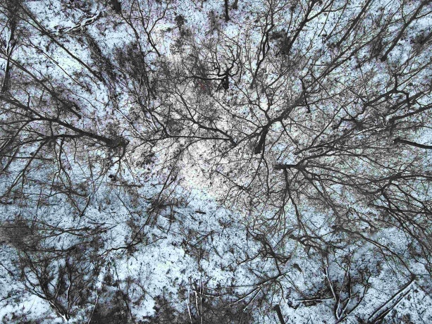 000 Messmer Road, SAVANNA, Illinois 61074, ,Land,For Sale,Messmer Road,202600579