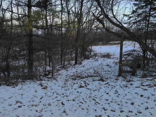 000 Messmer Road, SAVANNA, Illinois 61074, ,Land,For Sale,Messmer Road,202600579