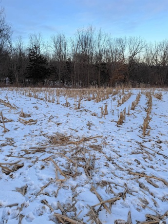 000 Messmer Road, SAVANNA, Illinois 61074, ,Land,For Sale,Messmer Road,202600579