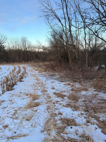 000 Messmer Road, SAVANNA, Illinois 61074, ,Land,For Sale,Messmer Road,202600579