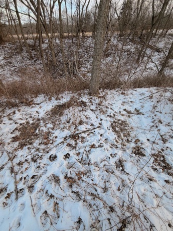 000 Messmer Road, SAVANNA, Illinois 61074, ,Land,For Sale,Messmer Road,202600579