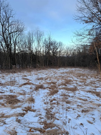 000 Messmer Road, SAVANNA, Illinois 61074, ,Land,For Sale,Messmer Road,202600579