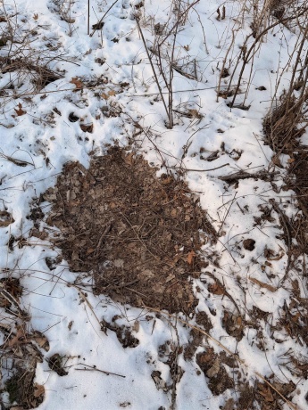 000 Messmer Road, SAVANNA, Illinois 61074, ,Land,For Sale,Messmer Road,202600579