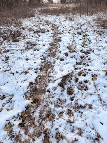 000 Messmer Road, SAVANNA, Illinois 61074, ,Land,For Sale,Messmer Road,202600579