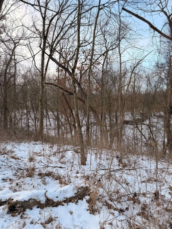 000 Messmer Road, SAVANNA, Illinois 61074, ,Land,For Sale,Messmer Road,202600579