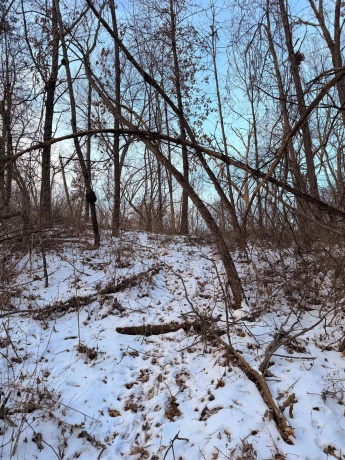 000 Messmer Road, SAVANNA, Illinois 61074, ,Land,For Sale,Messmer Road,202600579