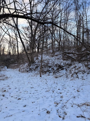 000 Messmer Road, SAVANNA, Illinois 61074, ,Land,For Sale,Messmer Road,202600579