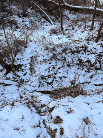 000 Messmer Road, SAVANNA, Illinois 61074, ,Land,For Sale,Messmer Road,202600579