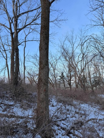 000 Messmer Road, SAVANNA, Illinois 61074, ,Land,For Sale,Messmer Road,202600579