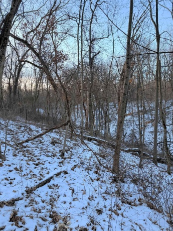 000 Messmer Road, SAVANNA, Illinois 61074, ,Land,For Sale,Messmer Road,202600579