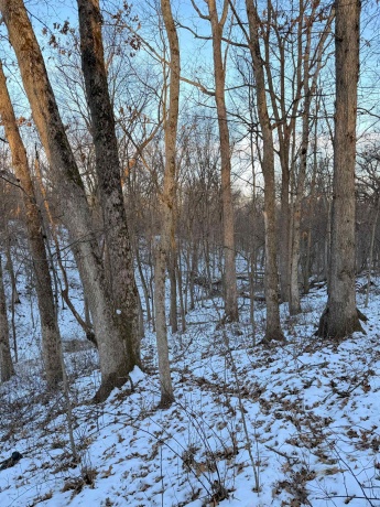 000 Messmer Road, SAVANNA, Illinois 61074, ,Land,For Sale,Messmer Road,202600579