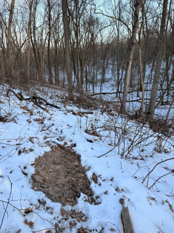 000 Messmer Road, SAVANNA, Illinois 61074, ,Land,For Sale,Messmer Road,202600579