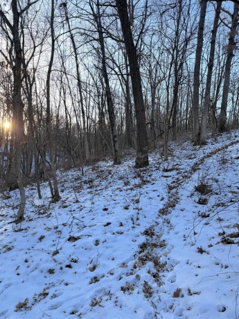 000 Messmer Road, SAVANNA, Illinois 61074, ,Land,For Sale,Messmer Road,202600579