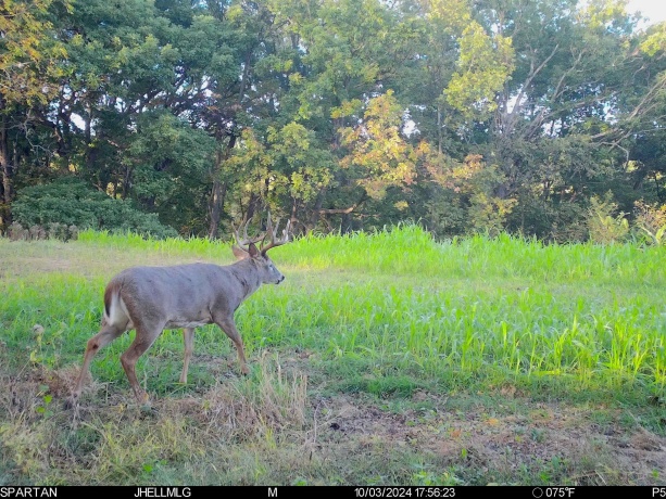 000 Messmer Road, SAVANNA, Illinois 61074, ,Land,For Sale,Messmer Road,202600579