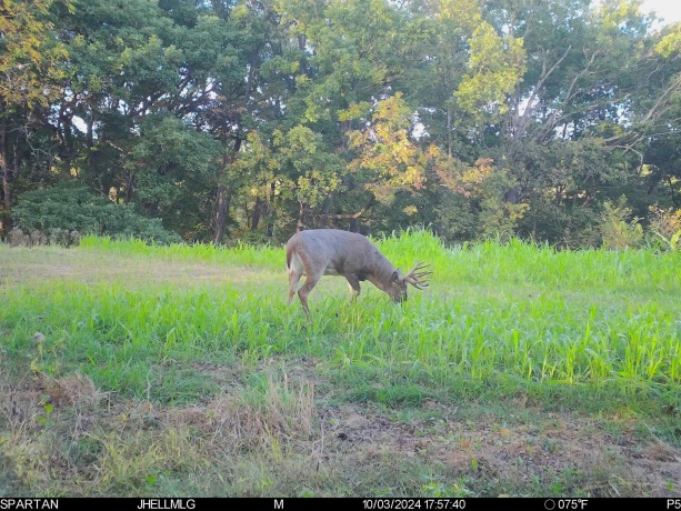 000 Messmer Road, SAVANNA, Illinois 61074, ,Land,For Sale,Messmer Road,202600579