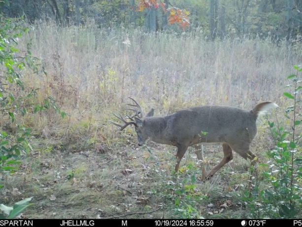 000 Messmer Road, SAVANNA, Illinois 61074, ,Land,For Sale,Messmer Road,202600579