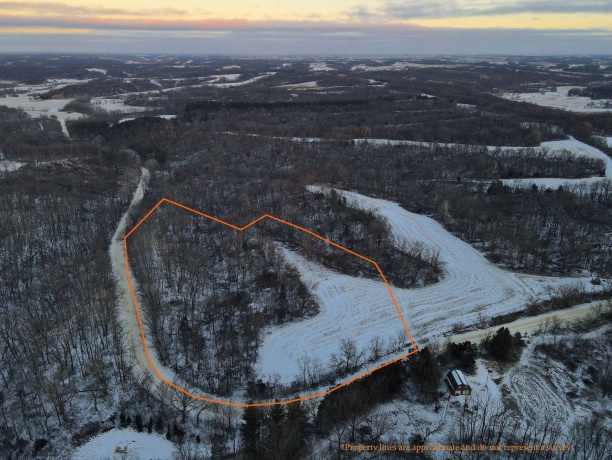 000 Messmer Road, SAVANNA, Illinois 61074, ,Land,For Sale,Messmer Road,202600579