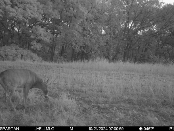 000 Messmer Road, SAVANNA, Illinois 61074, ,Land,For Sale,Messmer Road,202600579