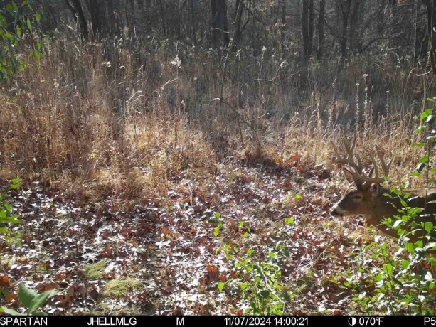 000 Messmer Road, SAVANNA, Illinois 61074, ,Land,For Sale,Messmer Road,202600579