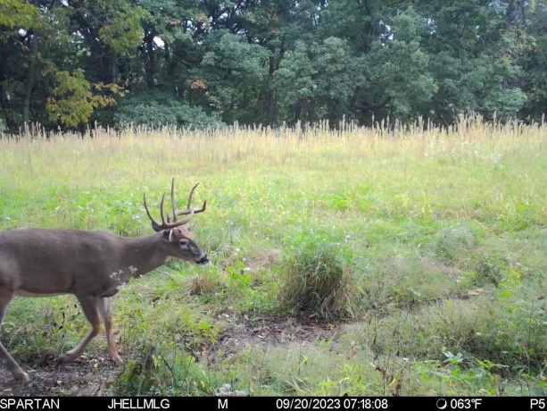 000 Messmer Road, SAVANNA, Illinois 61074, ,Land,For Sale,Messmer Road,202600579