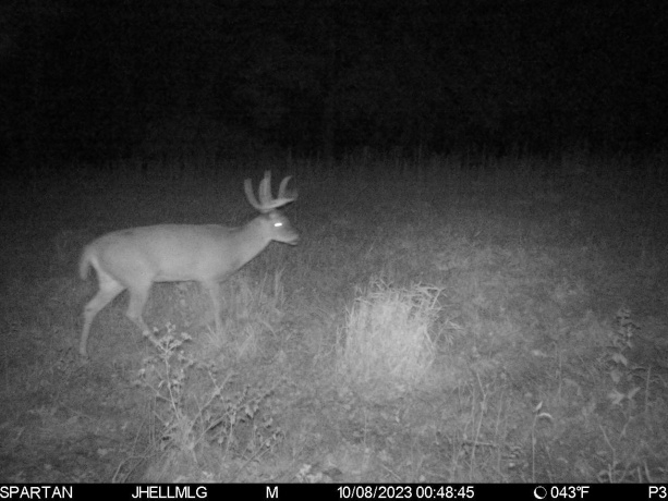 000 Messmer Road, SAVANNA, Illinois 61074, ,Land,For Sale,Messmer Road,202600579