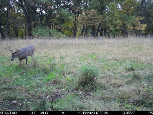 000 Messmer Road, SAVANNA, Illinois 61074, ,Land,For Sale,Messmer Road,202600579