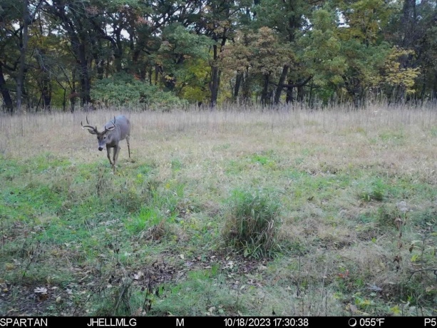 000 Messmer Road, SAVANNA, Illinois 61074, ,Land,For Sale,Messmer Road,202600579