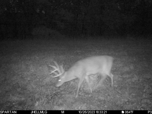 000 Messmer Road, SAVANNA, Illinois 61074, ,Land,For Sale,Messmer Road,202600579